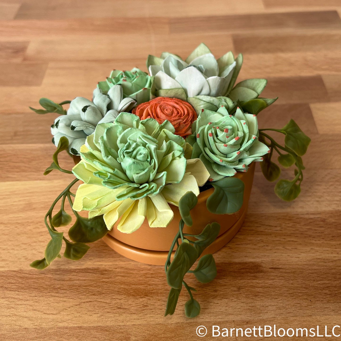 Sola Succulents (orange)