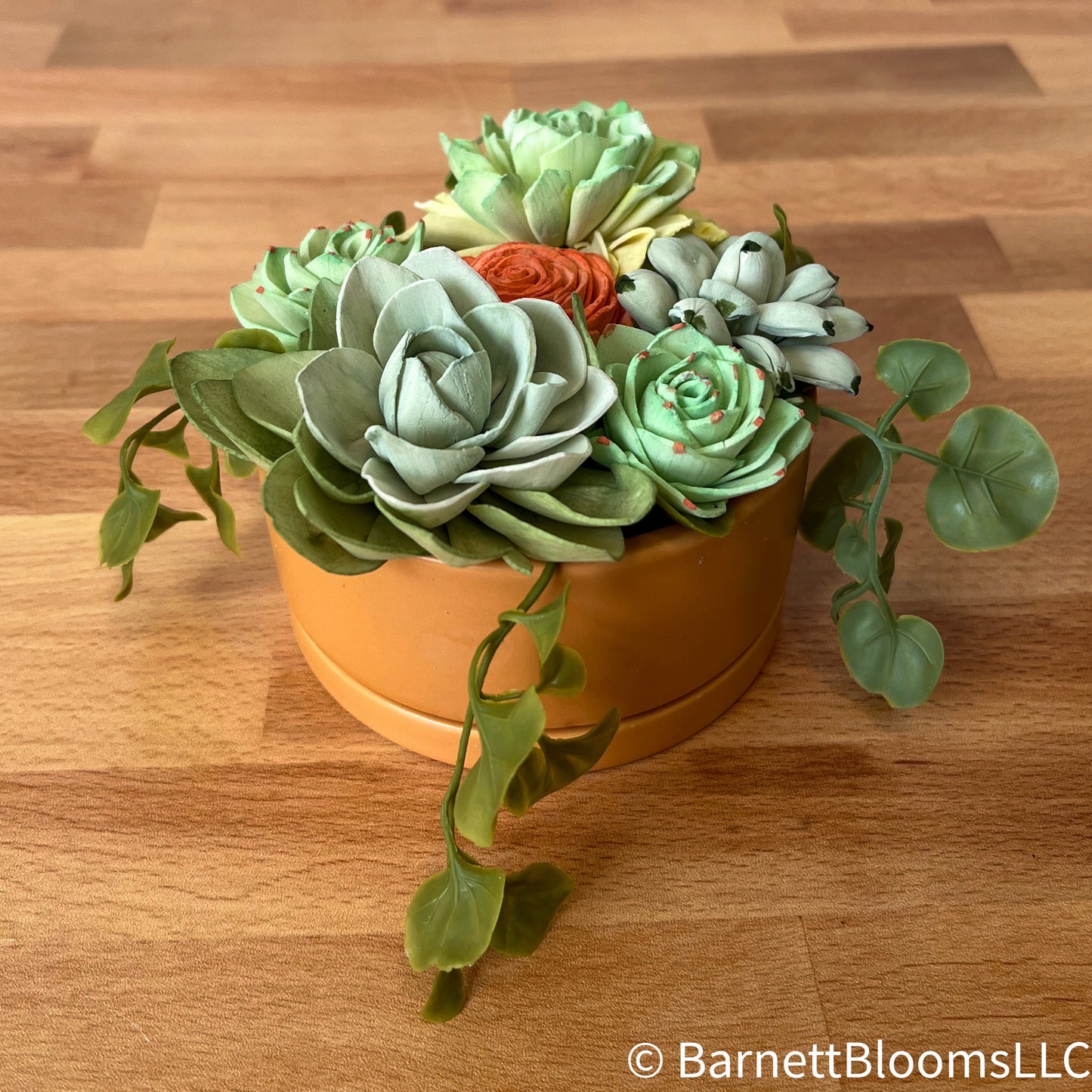 Sola Succulents (orange)